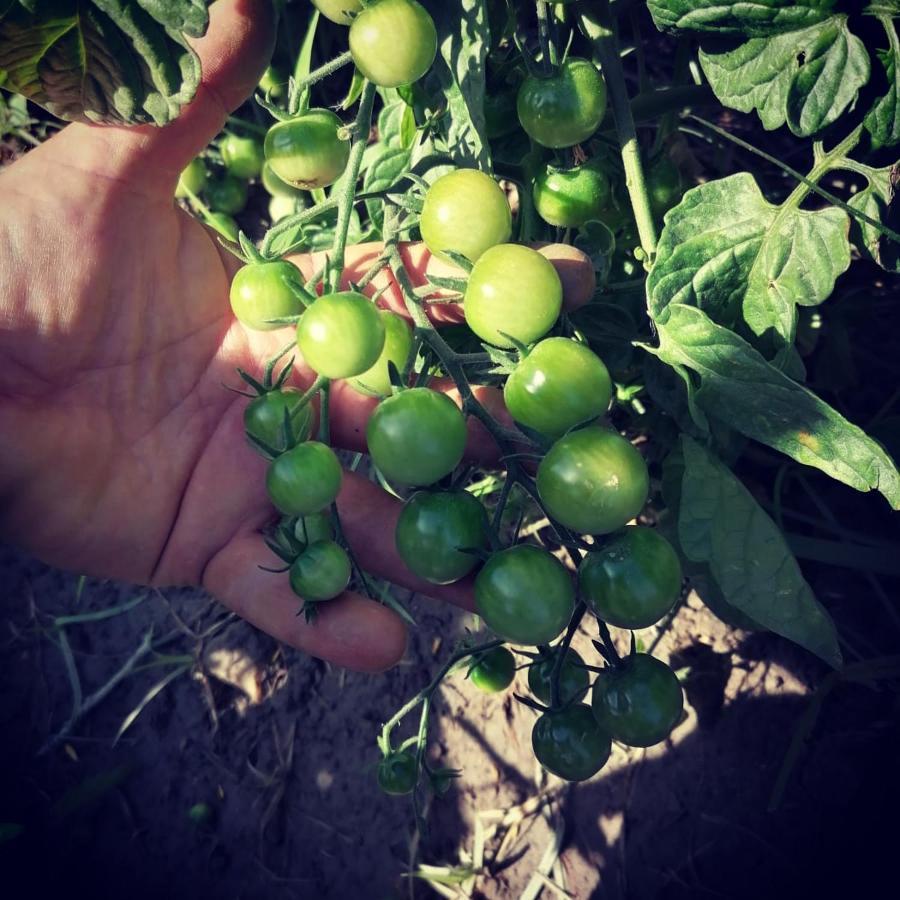 Cortijo Claudia Vendégház Taberno Kültér fotó