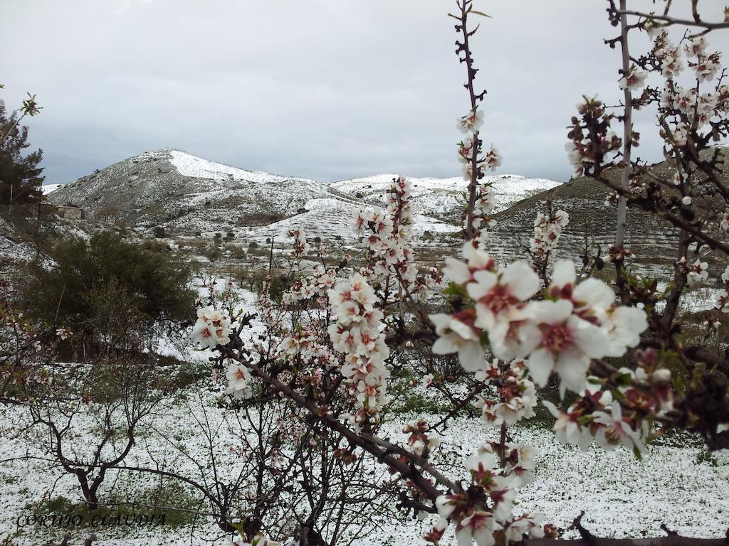 Cortijo Claudia Vendégház Taberno Kültér fotó
