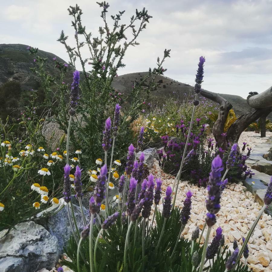 Cortijo Claudia Vendégház Taberno Kültér fotó