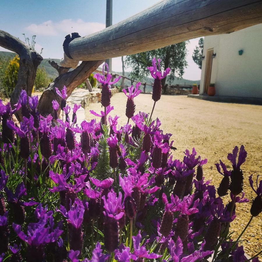 Cortijo Claudia Vendégház Taberno Kültér fotó